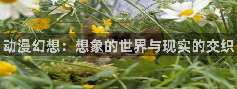 duofun动漫：动漫幻想：想象的世界与现实的交织