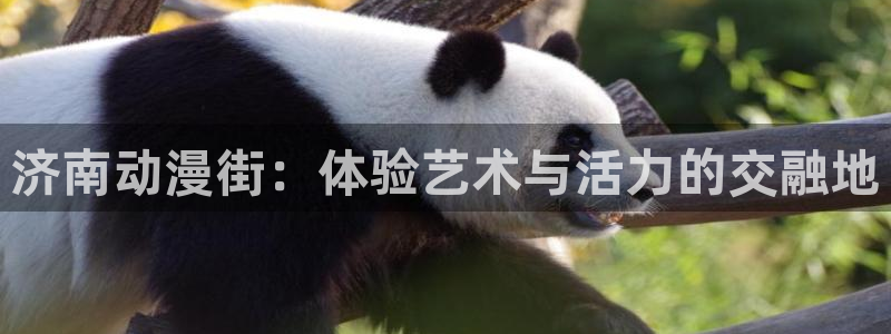 omofun专注动漫官网入口：济南动漫街：体验艺术与活力的交融地