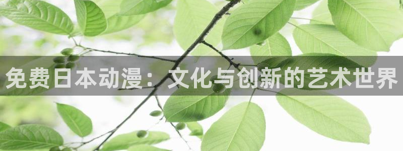 omofun动漫官网入口：免费日本动漫：文化与创新的艺术世界