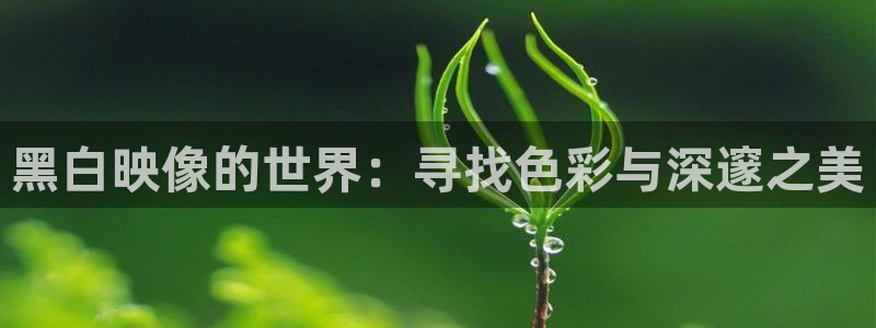 omofun动漫下载官方正版网站：黑白映像的世界：寻找色彩与深邃之美