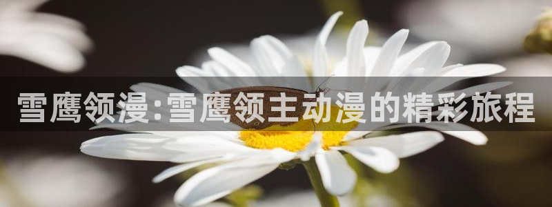 omofun下载动漫：雪鹰领漫:雪鹰领主动漫的精彩旅程