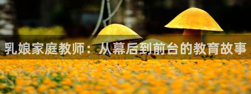 onfun动漫官网：乳娘家庭教师：从幕后到前台的教育故事