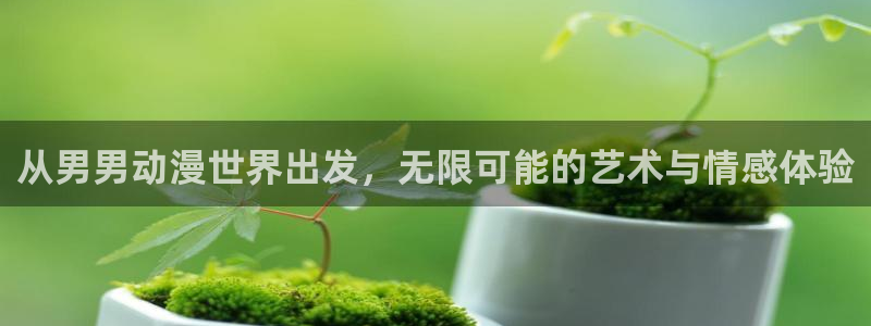 qifun动漫：从男男动漫世界出发，无限可能的艺术与情感体验