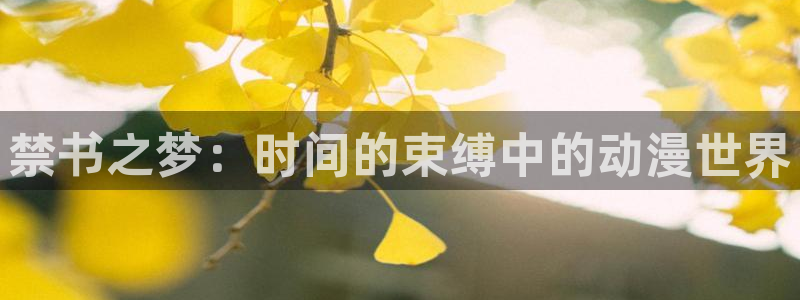 omo fun动漫：禁书之梦：时间的束缚中的动漫世界